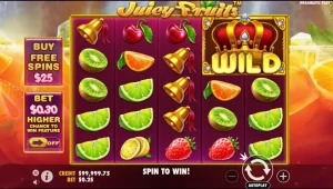 Juicy Fruits Slot