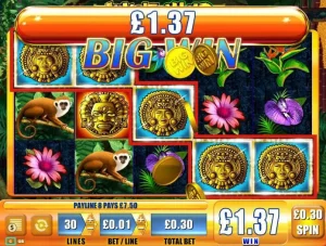 Jungle Wild Slot