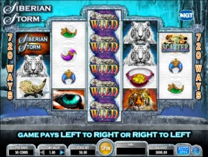 Siberian Storm Slot