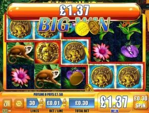Jungle Wild Slot