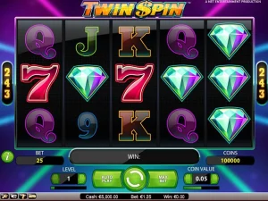 Twin Spin Slot